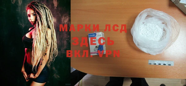 мдпв Вяземский