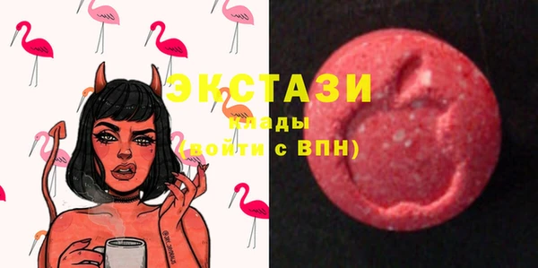 мдпв Вяземский