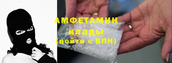 мдпв Вяземский