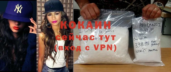 мдпв Вяземский