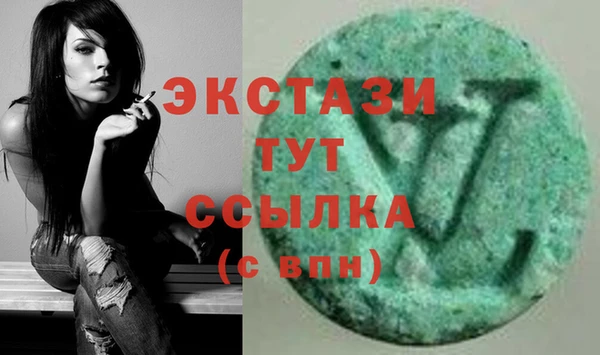 мдпв Вяземский